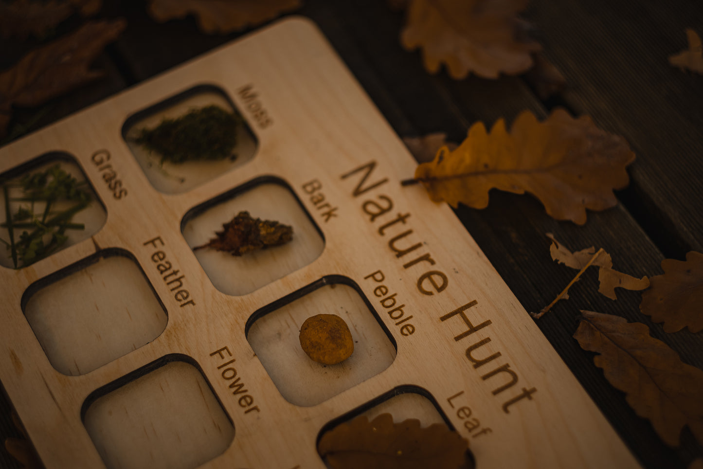 Nature Hunt Board